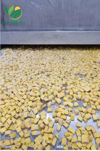Mangues vietnamiennes surgelées IQF, 100% mangues fraîches biologiques, emballage en vrac, prix bas - Product Image 4