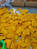 Zachte Gedroogde Mango Slices, Laag in Suiker, Natuurlijke Zoete Smaak, 650g, Exportkwaliteit, Mango voor Dessert/Snack uit Vietnam