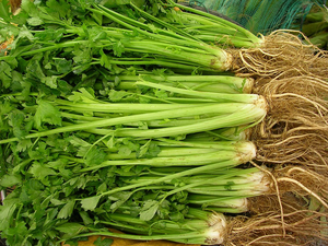 Natural Dehydrated Celery 20kg Carton for <b>Vegetable</b> Processing Soup Mixes and Export - Product Image 3