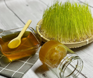 Jarabe de Malta Dorado de Alta Viscosidad, Jarabe Grueso y Dulce de Grado Alimenticio Producido a Partir de Brotes de Avena - Product Image 3