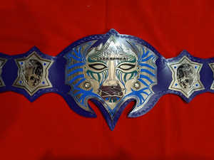 Fabricante Profesional de Entrenadores de Gimnasio de Artes Marciales Mixtas, Boxeo y Lucha Libre, Ajustables, Resistentes, de Acero Inoxidable y Ligeros - Product Image 5