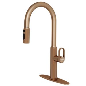 Rubinetto da Cucina Estraibile - Product Image 1