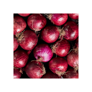 NOUVELLE GRANDE PROMOION OIGNONS ROUGES ÉGYPTIENS FRAIS - Direct Usine 100kg Disponible en Toutes Tailles - Product Image 6