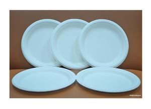 Assiettes jetables en bagasse de canne à sucre biodégradables et compostables Eco White de 10 pouces, très résistantes, pour fêtes, lot de 100 - Product Image 2