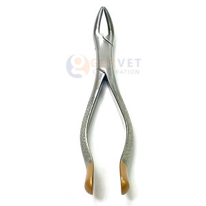 Forceps d'extraction dentaire manuels en acier inoxydable réutilisables, haute qualité, en stock - Product Image 2