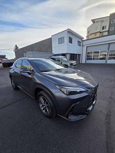 Lexus NX 350 Premium AWD d'occasion 2025 - Product Image 2