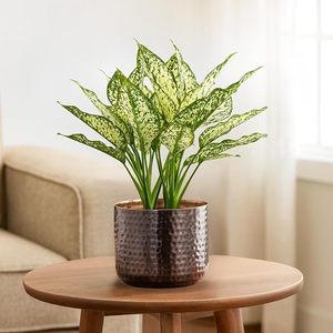 Pot de fleurs moderne en métal martelé avec motif irrégulier pour la décoration intérieure - Product Image 5