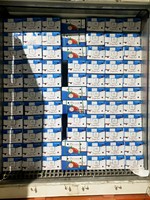 VIETNAM VERS DRAGONFRUIT SUNRISE INS Wereldwijde Exporteur Kartonnen Verpakking HACCP/BRC/ISO Gecertificeerd 6 Maanden Houdbaarheid (Mobiel/WA)