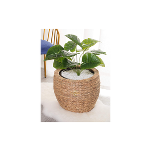 Eco Friendly Plant Pot Crafted from Water Hyacinth Handwoven Natural Fiber Planter for Sustainable Home Gardening - Product Image 4
