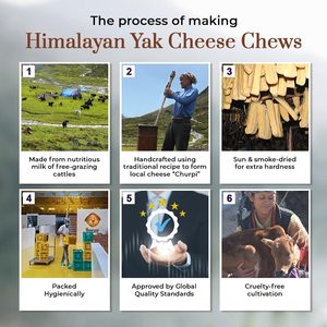 Natural Hard Himalayan Yak Milk Dog Chews Long Lasting Odorless Yak Cheese Chew <b>Sticks</b> for Dogs OEM Private Label Bulk Supply - Product Image 5