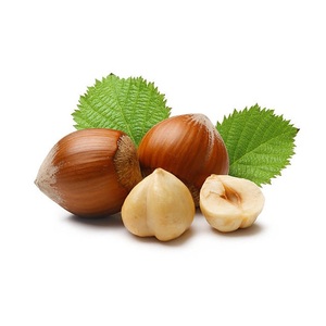 Nueces de Avellana Orgánicas Secas a Precio de Mayoreo, Disponibles en Grandes Cantidades para la Venta - Product Image 2