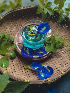 Premium Dried Butterfly Pea Flowers Natural Blue Petals For <b>Tea</b> Blending Beverage Craft Bulk Wholesale Vietnam Supply Chain - Product Image 2