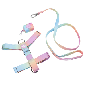 Conjunto de Arnés para Perro Sin Tirones Comfort Control Snow Cone con Correa a Juego y Clip Frontal Ajustable, Set de Entrenamiento para Paseos Diarios - Product Image 3