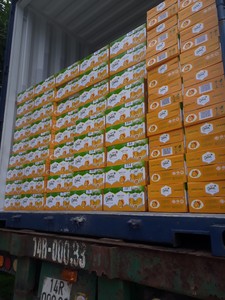 Jugo de Naranja Enlatado con Sabor Personalizable, Jugo de Fruta Natural para la Industria de Alimentos y Bebidas, OEM ODM, Refrescos - Product Image 5