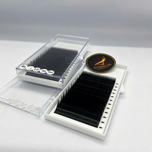 Extensions de cils individuelles en soie, vison et cachemire coréens de haute qualité, avec logo personnalisé, plateau d'extensions de cils avec courbure CC DD, vente en gros - Product Image 4