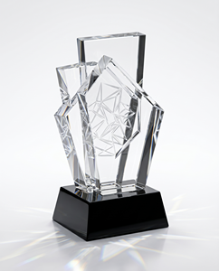 Medalla Personalizada de Acrílico y Bronce, Reconocimiento Premium Duradero para Eventos Corporativos y Celebraciones Especiales - Product Image 2