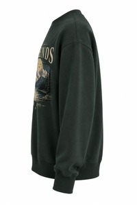 Sudadera Personalizada con Estampado de Montaña, Cuello Redondo, Corte Regular para Hombre, 100% Algodón, Diseño Tejido Informal para Otoño - Product Image 4