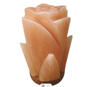 Lampe en sel de l'Himalaya sculptée, forme géométrique, motif floral, artisanat naturel, toucher réel, décoration d'intérieur, Sian Enterprises - Product Image 1