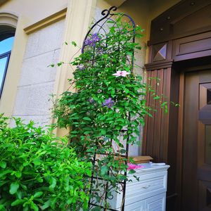 Set di 2 tralicci da giardino in metallo antiruggine da 220 cm x 50 cm per piante rampicanti, supporto per fiori da esterno - Product Image 2