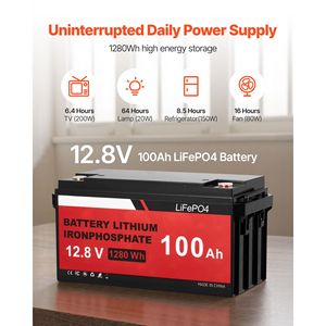 Kit de Energía Solar y Eólica de 1000W: 2 Paneles Solares de 100W, Turbina Eólica de 400W, Batería LiFePO4 de 12.8V 100Ah, Inversor de 12V 600W - Product Image 6