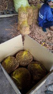 ผงซินนามอนซินนามอนหักจากขี้เหล็ก WhatsApp - Product Image 6