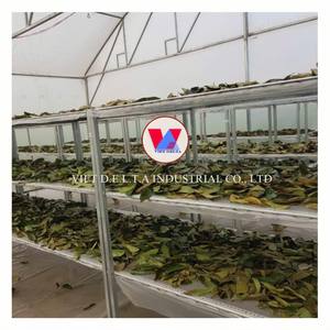 Venta caliente 100% hojas secas de Guanábana con la mejor calidad y el mejor precio a granel que cumplen con los estándares de exportación de Vietnam - Product Image 4