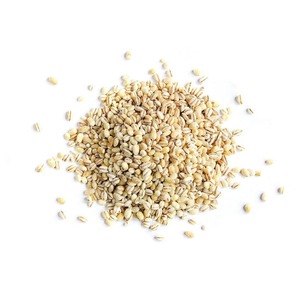 Approvisionnement en céréales pour l'exportation en vrac : 100 % orge pour l'alimentation animale, grains entiers, emballés proprement dans des sacs pour les acheteurs en gros du monde entier - Product Image 3