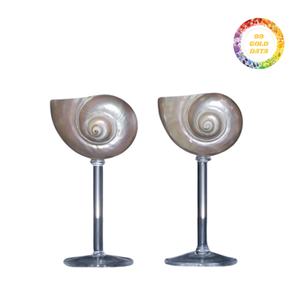 Superior Seashell Glass Drinking Vessel For Luxury Tropical Resorts And Professional Event Supply Bulk Sale - Product Image 5