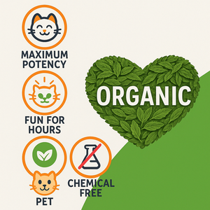 Herbes de Catnip Biologiques de Qualité Export, Mélange Herbal Naturel Premium pour le Jeu, la Détente et le Soulagement du Stress des Chats, Fournisseur OEM ODM Marque Privée - Product Image 4