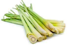 Hierba Limón Congelada IQF - Hierba Limón en Rodajas/ Picada para Exportación, Producto de Vegetales Congelados - PROVEEDOR VIETNAM/ Sra. Selina - Product Image 4
