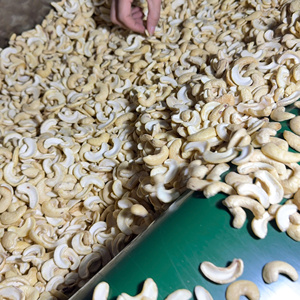 Trusted Supplier Raw Cashew <b>Kernel</b> <b>Nuts</b> WW180 WW240 WW320 From Santigo Company Limited Vietnam - Product Image 1