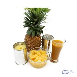 [ALTA CALIDAD] |   Piña en Rodajas Enlatada Premium Blue Lotus Farm en Almíbar al por Mayor para Panadería y Repostería de Vietnam - Product Image 1
