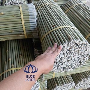 Très demandés 2026 Poteaux de bambou de qualité supérieure pour piquets agricoles et supports de construction Durables, flexibles, faciles à couper - Product Image 4