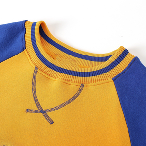 Sweat-shirt à col rond en chenille SGRho bleu et or de qualité supérieure, lettres grecques brodées pour les sororités et les fraternités, en molleton de coton - Product Image 3