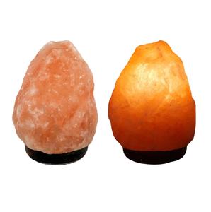 Wholesale New Design Customized Pink Himalayan Salt Night <b>Light</b> Handmade Feng Shui Natural <b>Shell</b> Best Quality - Product Image 1