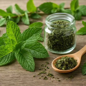 WARRLY Extracto Herbal de Tulsi Orgánico en Polvo 99% Puro Grado Alimenticio Secado al Aire Caliente Plantación Artificial Gujarati Empaque a Granel en Tambor - Product Image 1