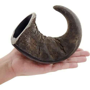 Orejas de Búfalo Secas 100% Orgánicas para Perros, Masticables Naturales, Seguros, Saludables y Ecológicos, Alimento para Mascotas de la India, Orejas de Vaca 100% Blanqueadas/Ahumadas para Perros - Product Image 5