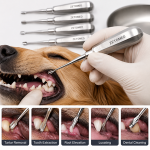 Élévateur dentaire chirurgical à ailettes de 7 mm pour extraction dentaire, en acier inoxydable, autoclavable, OEM ODM par Zetomed Pro - Product Image 5