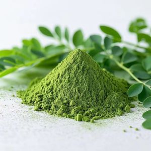 Fournisseur de poudre de Moringa de qualité export pour la fabrication de boissons vertes et l'utilisation en gros comme ingrédient végétal – Poudre naturelle et pure - Product Image 5