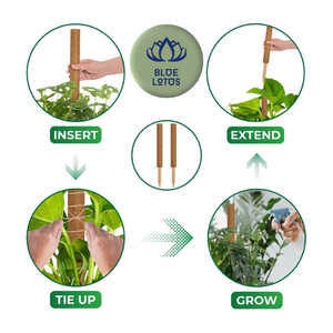 [MEJOR VENTA] |   Varilla extensible de fibra de coco para entrenamiento de plantas en agricultura, viveros y viñedos, exportación de Vietnam - Product Image 1