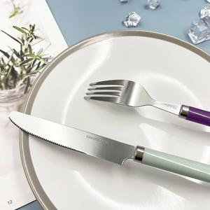 Dual Tone Resin Handle Stainless Steel Flatware Set | Color <b>Blocked</b> <b>Acrylic</b> Cutlery Knife Fork Spoon Set - Product Image 2