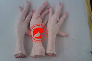 Patas de Pollo Congeladas, Limpias, Calidad Premium, Procesadas con Cuidado, Textura Natural, Ideales para Preparaciones Culinarias de Platos Tradicionales - Product Image 2