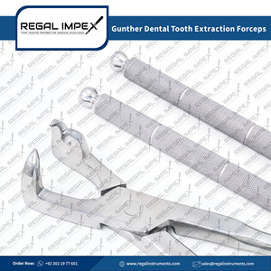 Pinzas de Extracción Dental Veterinarias Manuales Regal Impex de Acero Inoxidable Clase I para Odontología Equina con 1 Año de Garantía - Product Image 5