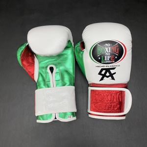 Gants de boxe Canelo en cuir à lacets vert blanc rouge respirants pour entraînement et sparring adultes 14 ans et plus - Product Image 3