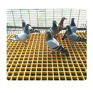 ตะแกรงไฟเบอร์กลาสสำหรับโรงเลี้ยงนกพิราบ ขายตรงจากโรงงาน - Product Image 1