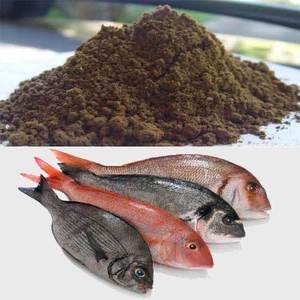 Farine de poisson biologique riche en protéines - 55-65% de farine de poisson pure pour additifs alimentaires pour porcs et animaux, origine Tamil Nadu - Product Image 1