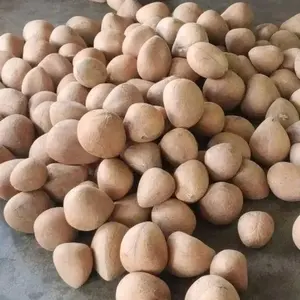 Coco Seco Maduro, Coco Seco al Sol, Coco Seco en Horno, Grado Natural AA, 25/30/50 Kg, en Bolsa Tejida - Product Image 2