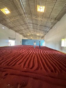 Vietnam Annatto Seeds High Bixin 3-4% Natural Red Colorant Naturally Dried Purity 99% 25kg/PP <b>Bag</b> <b>Bulk</b> Factory Price for Export - Product Image 2