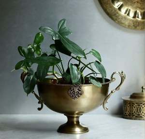 Hecho de latón, puedes guardar frutas en él, usa como maceta o simplemente colócalo de forma independiente donde su brillo subtil será suficiente. - Product Image 2