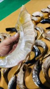 Shofar en corne de bélier polie, artisanat de haute qualité, finition brillante, naturel, écologique, instrument traditionnel pour les services de prière, objet religieux, artisanat - Product Image 4